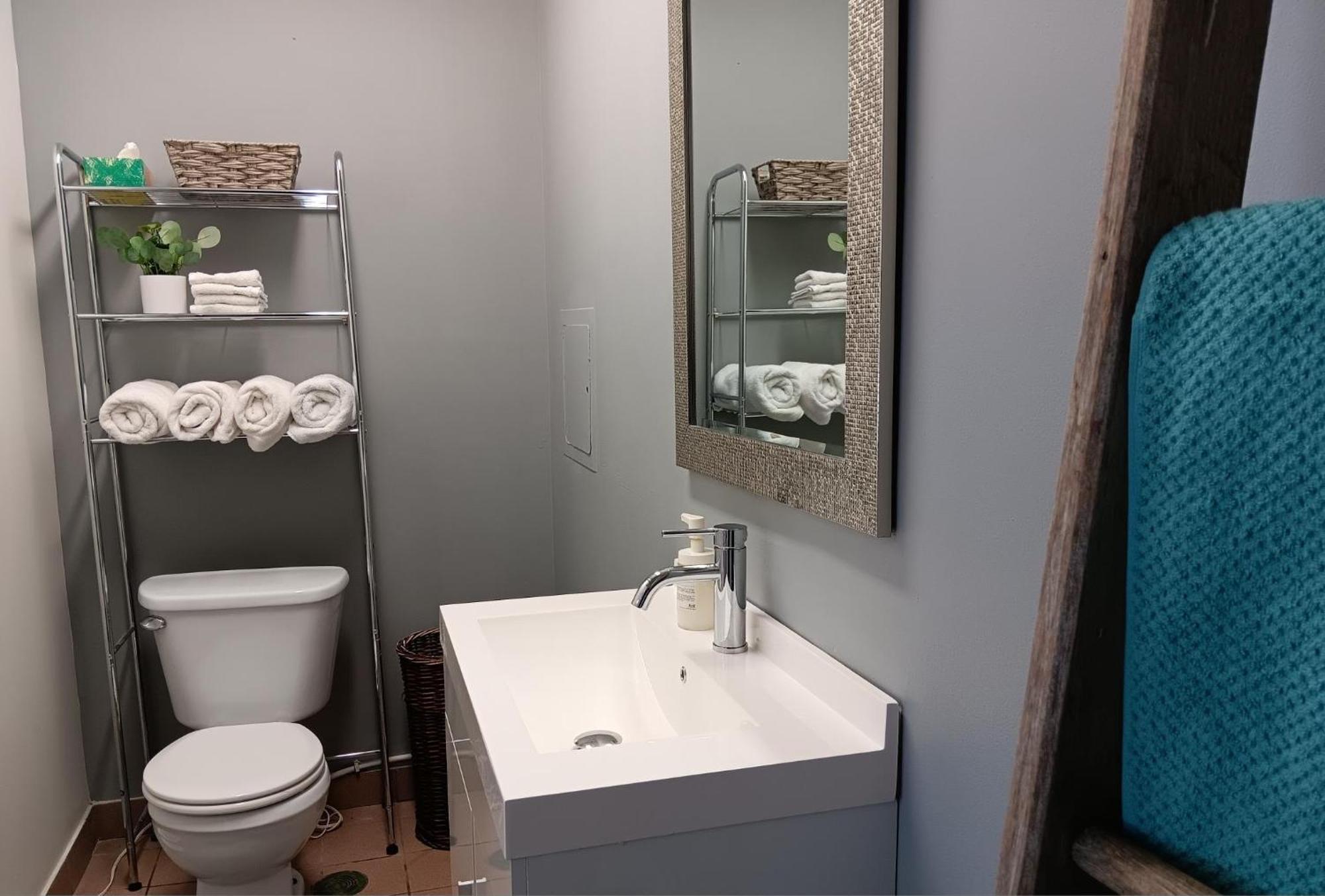 Appartement Loft Avec Vue A 180 Degre à Louiseville Extérieur photo
